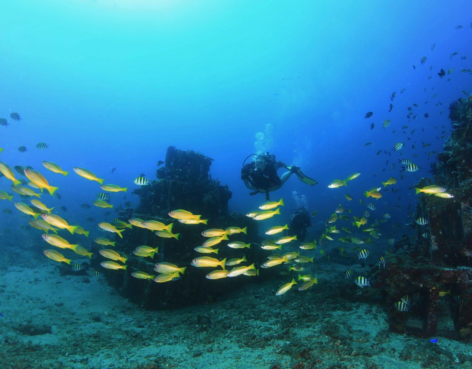 Minabali Bunga'Lo Hotel Tulamben  Bagian luar foto